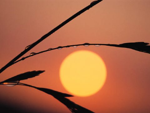 Tiếng nhạc lòng Tình yêu