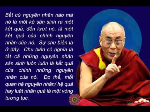 Nhân Tâm , Nhân Trí , Nhân Cảm…. và Nhân Quả